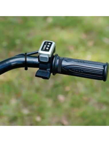 CARRIOLA ELETTRICA LANDWORKS C/VASCA - 3 RUOTE