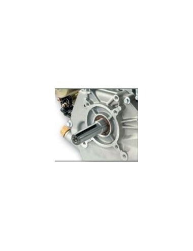 MOTORE G270F HP9 CILINDRICO CON AVVIAM. ELETTRICO