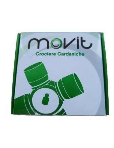 CROCIERA CARDANICA T.WS 2500