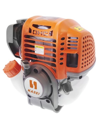 MOTORE DECESPUGLIATORE 4 TEMPI