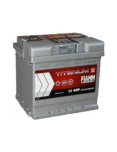 BATTERIA FIAMM 12V/44 AH + DX